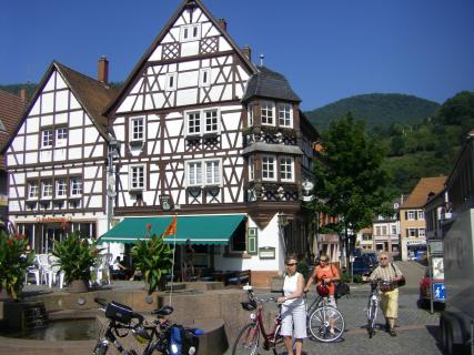 Bild 7 zur Urlaubsidee »Radfahren & Genießen – Entdecker- und Erlebnisradtouren an der Deutschen Weinstraße.«