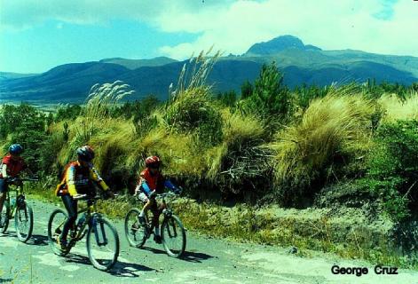 Bild 12 zur Urlaubsidee »Naturwanderungen und Mountainbiketouren auf San Jorge, Ecuador«