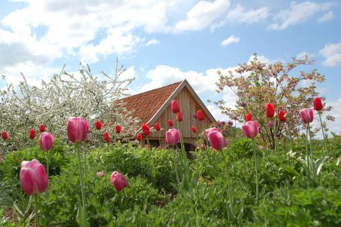 Bild 1 zur Urlaubsidee »Kultur in Ostfriesland - Von Gärtnern und Mördern«