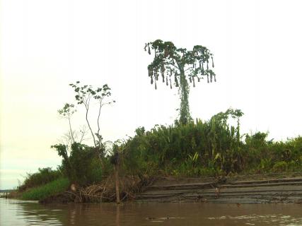 Bild 2 zur Urlaubsidee »Spirituelle Rundreise in Peru«