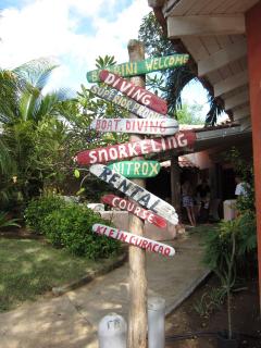 Bild 16 zur Urlaubsidee »Curacao Tauchreisen«