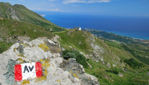 Bild 5 zur Urlaubsidee »Wein & Wandern in Westligurien - wo die Alpen ins Meer fallen«