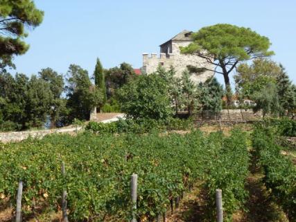 Bild 5 zur Urlaubsidee »Weinreise Chalkidiki«