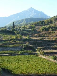 Bild 6 zur Urlaubsidee »Weinreise Chalkidiki«