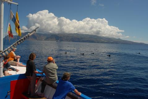 Bild 1 zur Urlaubsidee »Berge & Meer -La Gomera zu Wasser und zu Land«