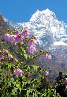 Bild 3 zur Urlaubsidee »Nepal - das Land der ewigen Gipfel, Götter und Mythen «