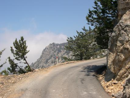 Bild 2 zur Urlaubsidee »Bergwoche im Troodos-Gebirge: Die Rennrad-Herausforderung für Bergziegen 6 Tage – 522 km – 7430 HM«