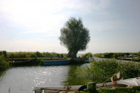 Bild 1 zur Urlaubsidee »Radtouren am Berlin-Usedom-Radweg«