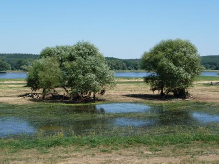 Bild 5 zur Urlaubsidee »Radtour rund um Berlin«