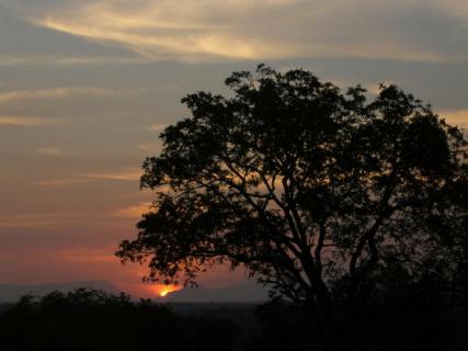 Bild 5 zur Urlaubsidee »Zur Wildblumenblüte und Safari nach Südafrika«