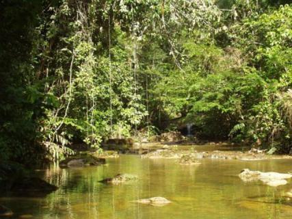 Bild 2 zur Urlaubsidee »Venezuela: Karibik, Anden und Wasserfälle «
