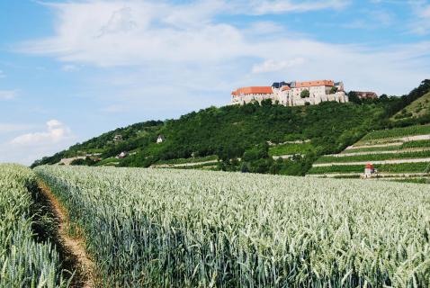 Bild 4 zur Urlaubsidee »Radreise am Unstrut-Radweg von Mühlhausen nach Naumburg«