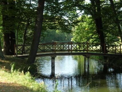 Bild 1 zur Urlaubsidee »Rundtour auf dem Gurkenradweg im Spreewald«