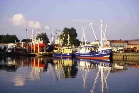 Bild 2 zur Urlaubsidee »Genussradeln an der Nordsee für Alleinreisende und Singles«