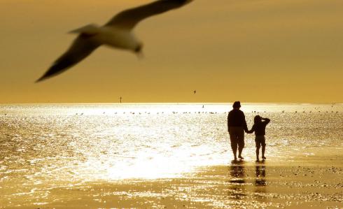 Bild 4 zur Urlaubsidee »Genussradeln an der Nordsee für Alleinreisende und Singles«
