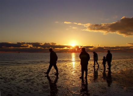 Bild 5 zur Urlaubsidee »Genussradeln an der Nordsee für Alleinreisende und Singles«