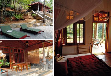 Bild 2 zur Urlaubsidee »Singharaja Garden ECO-Lodge - Sri Lanka genießen, nachhaltig und verantwortungsvoll «