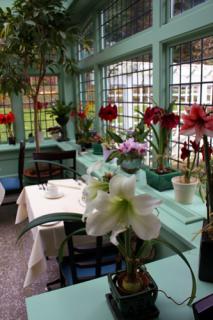 Bild 5 zur Urlaubsidee »High Tea unter exotischen Pflanzen in den Butchart Gardens von Victoria«
