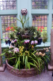 Bild 4 zur Urlaubsidee »High Tea unter exotischen Pflanzen in den Butchart Gardens von Victoria«
