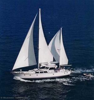 Bild 1 zur Urlaubsidee »SY Island Odyssey - Whale and Bear Watching an Kanadas Pazifikküste«