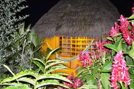 Bild 1 zur Urlaubsidee »Dschungelabenteuer in Ecuador!«