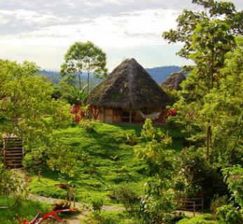 Bild 3 zur Urlaubsidee »Dschungelabenteuer in Ecuador!«