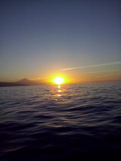 Bild 8 zur Urlaubsidee »Schwimmen mit Delfinen - Pico (Azoren)«