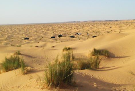 Bild 1 zur Urlaubsidee »Massage für die Seele  -  1 Woche Camp in der Wüste Sahara«