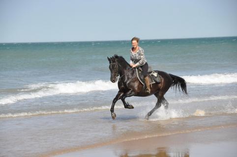 Bild 3 zur Urlaubsidee »,Andalusien,Strandritte,Reiturlaub,Reiten,costa de la luz,«