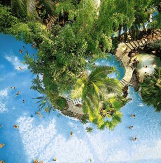 Bild 1 zur Urlaubsidee »Schlechtes Wetter? Ab in die Tropen – sie sind ganz nah!Center Parcs-Sommerschlussverkauf: Tropische Ferien zum Schnäppchenpreis«