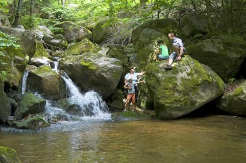 Bild 1 zur Urlaubsidee »Rundum-Sorglos-Arrangements zum Frühling in der Eifel: Intensive Naturerlebnisse und neue Lebensfreude«