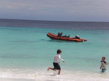Bild 5 zur Urlaubsidee »Curacao Tauchreisen«