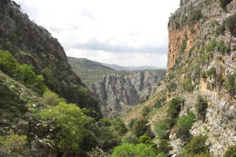 Bild 1 zur Urlaubsidee »Weinlese in Kreta - Einmal Bauer sein - in den schönen Bergen von Lassithi«
