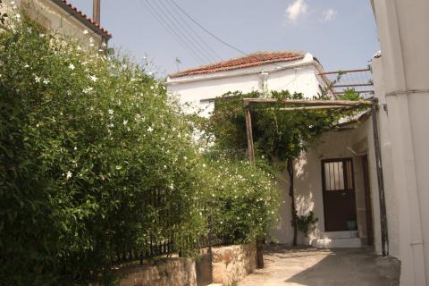 Bild 2 zur Urlaubsidee »Weinlese in Kreta - Einmal Bauer sein - in den schönen Bergen von Lassithi«