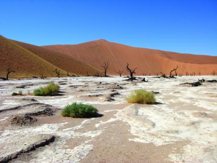 Bild 1 zur Urlaubsidee »Wüstentour und Maultiertrekking durch Namibia«