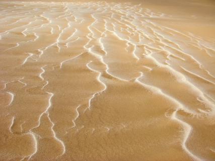 Bild 3 zur Urlaubsidee »Wüstentour und Maultiertrekking durch Namibia«