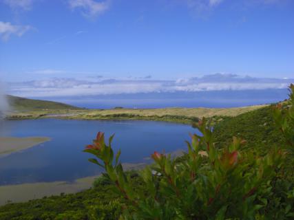 Bild 2 zur Urlaubsidee »Inspiration Pico / Naturreise zur Azoreninsel Pico«
