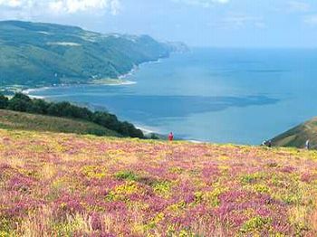Bild 2 zur Urlaubsidee »geführte Wanderreise Cornwall«