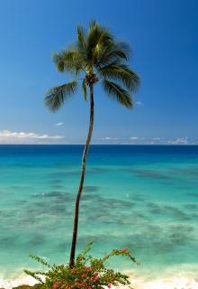 Bild 2 zur Urlaubsidee »mit Lidl nach Barbados«