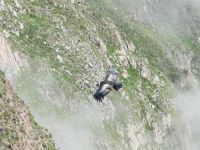 Bild 4 zur Urlaubsidee »Bergsteigen in Südperu«