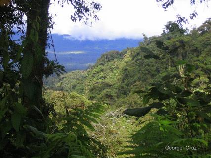 Bild 23 zur Urlaubsidee »San Jorge in Ecuador bietet faszinierende familiengeführte Öko-Lodges inmitten geschützten Bioreservaten«