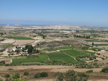 Bild 12 zur Urlaubsidee »Frühling auf Malta«