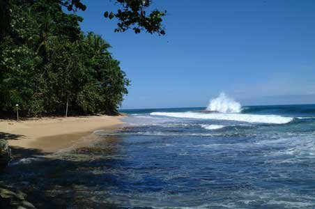 Bild 5 zur Urlaubsidee »Mundo Verde«