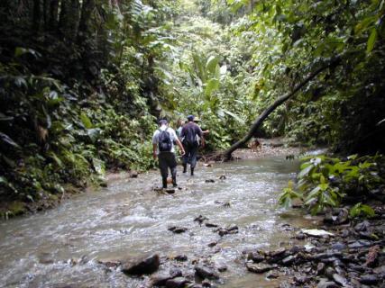 Bild 6 zur Urlaubsidee »Mundo Verde«