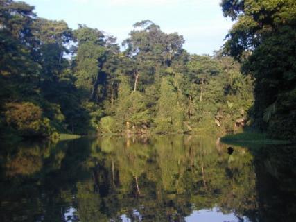 Bild 4 zur Urlaubsidee »Mundo Verde«