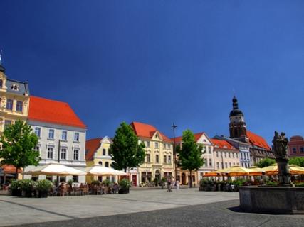 Bild 2 zur Urlaubsidee »Rundtour auf dem Gurkenradweg im Spreewald«