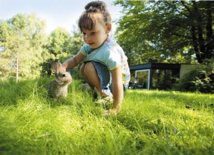 Bild 1 zur Urlaubsidee »Frühling und Ostern voller Überraschungen«