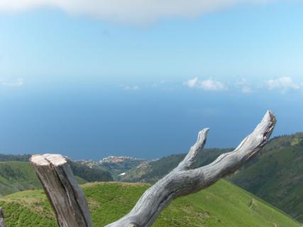 Bild 5 zur Urlaubsidee » Madeira -  Delfine und Meer«