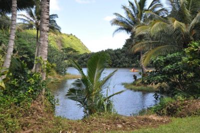 Bild 9 zur Urlaubsidee »Hawaii - Magischer Abenteuerspielplatz der Götter, Delfine und WaleHawaii – eine besondere Reise zu einzigartigen Naturschönheiten Lassen Sie sich verzaubern vom Aloha-Spirit der hawaiianischen Inseln: Glasklares Wasser mit einer reichen und bunten Unterw«