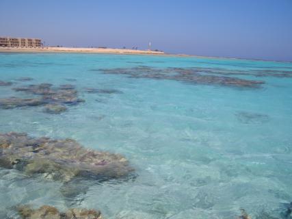 Bild 1 zur Urlaubsidee »Mentaltraining am Roten Meer«